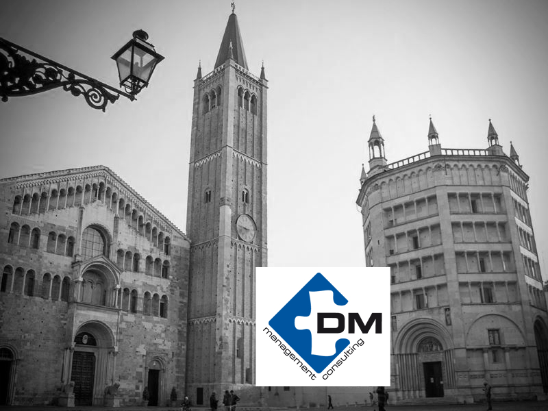 logo DM Management & Consulting